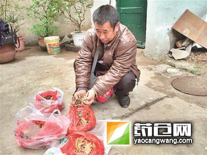 楚天都市报讯 图为：罗师傅出示他妻子吃剩的中药
