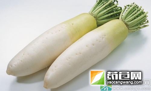 养生妙品，西洋参的功效与禁忌!(1)