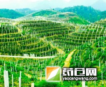 QQ截图20150515111415.jpg