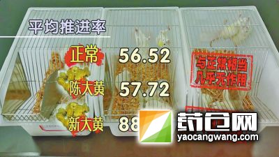 实验表明,放置时间不一样的大黄,药效差异明显。